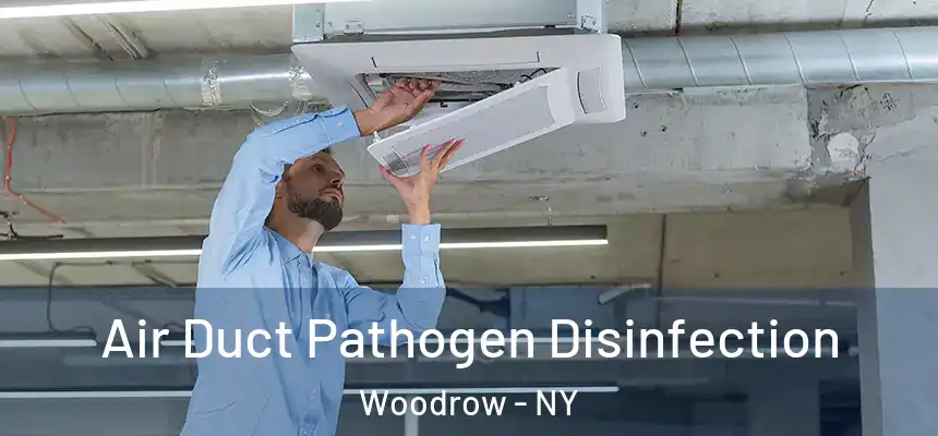  Air Duct Pathogen Disinfection Woodrow - NY