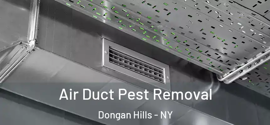 Air Duct Pest Removal Dongan Hills - NY