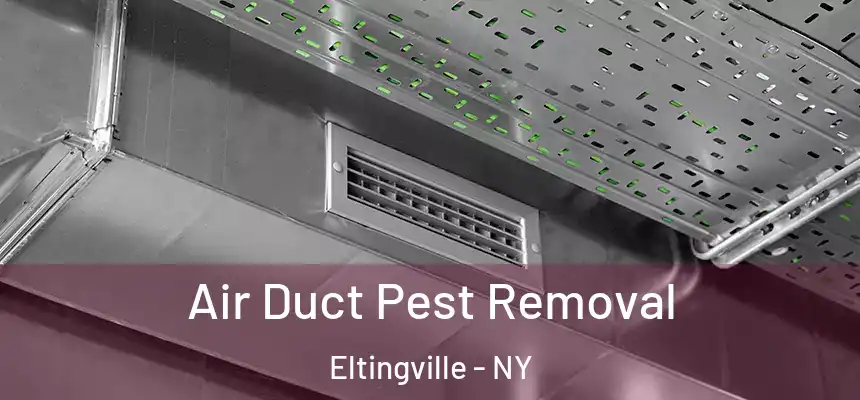 Air Duct Pest Removal Eltingville - NY