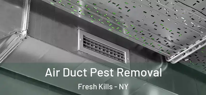 Air Duct Pest Removal Fresh Kills - NY
