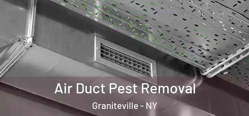 Air Duct Pest Removal Graniteville - NY
