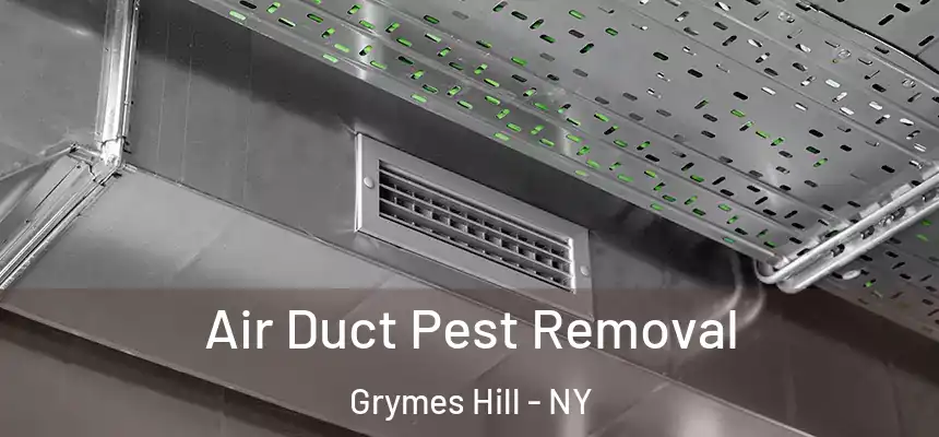 Air Duct Pest Removal Grymes Hill - NY
