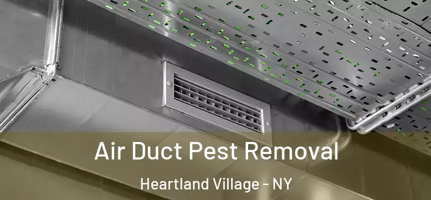 Air Duct Pest Removal Heartland Village - NY