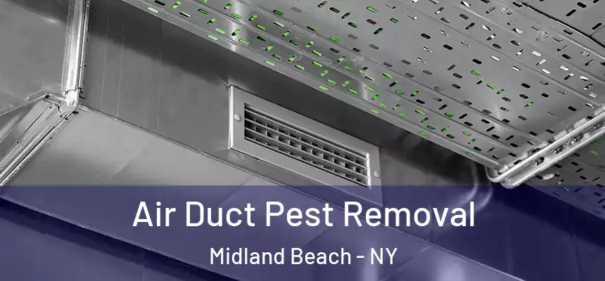 Air Duct Pest Removal Midland Beach - NY
