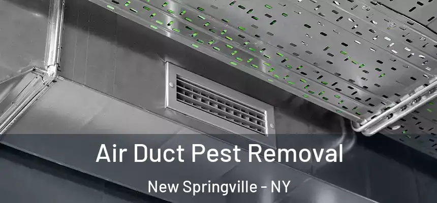 Air Duct Pest Removal New Springville - NY