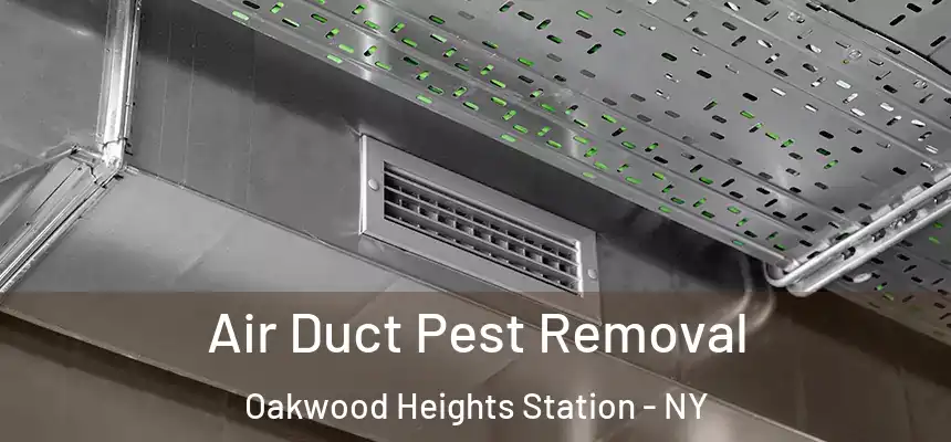 Air Duct Pest Removal Oakwood Heights Station - NY