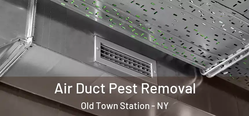 Air Duct Pest Removal Old Town Station - NY