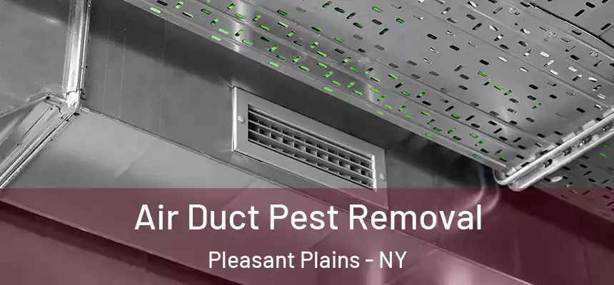  Air Duct Pest Removal Pleasant Plains - NY