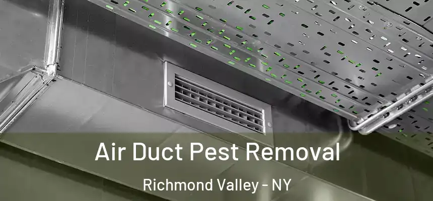Air Duct Pest Removal Richmond Valley - NY