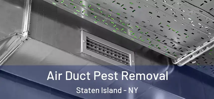 Air Duct Pest Removal Staten Island - NY