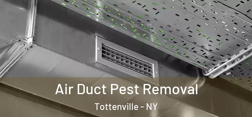 Air Duct Pest Removal Tottenville - NY