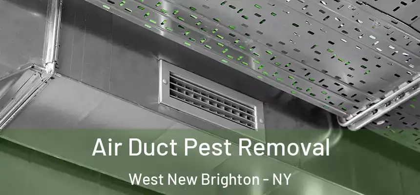 Air Duct Pest Removal West New Brighton - NY