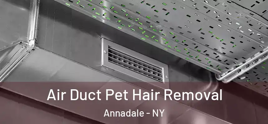 Air Duct Pet Hair Removal Annadale - NY
