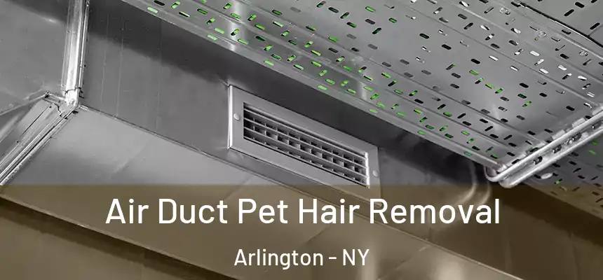Air Duct Pet Hair Removal Arlington - NY