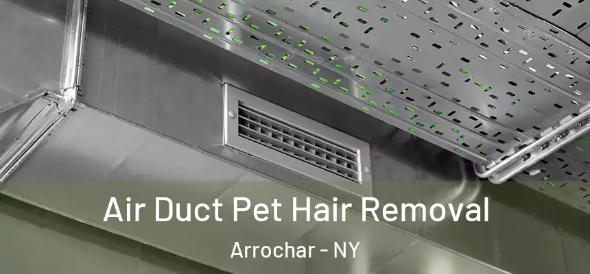 Air Duct Pet Hair Removal Arrochar - NY