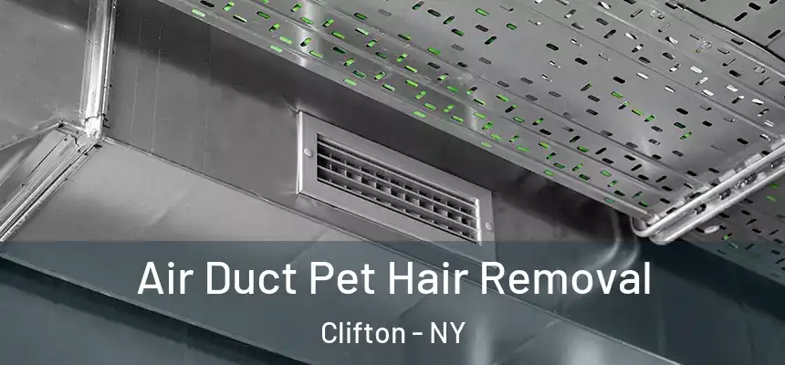 Air Duct Pet Hair Removal Clifton - NY