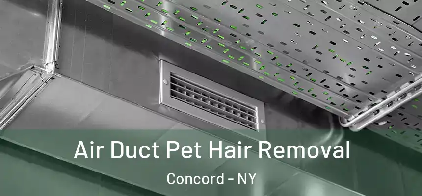 Air Duct Pet Hair Removal Concord - NY