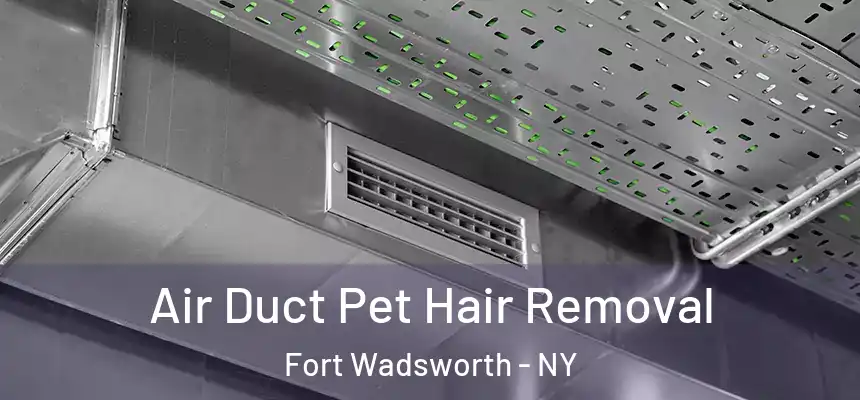 Air Duct Pet Hair Removal Fort Wadsworth - NY