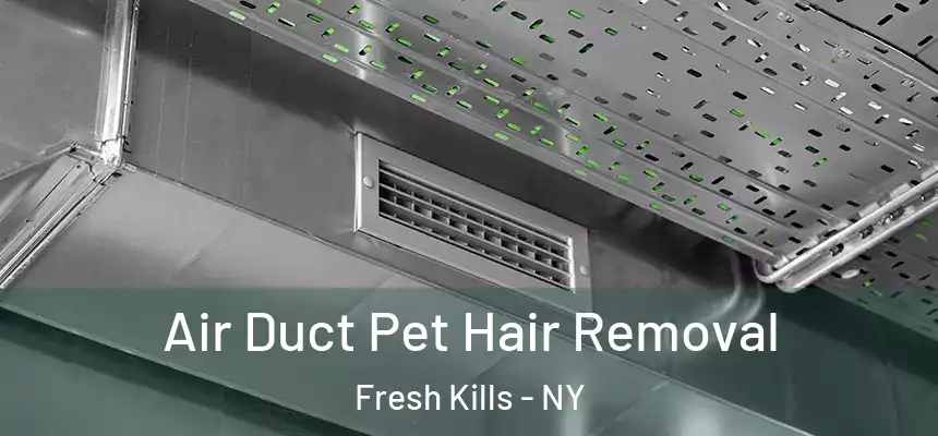 Air Duct Pet Hair Removal Fresh Kills - NY