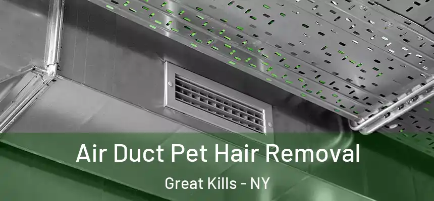 Air Duct Pet Hair Removal Great Kills - NY