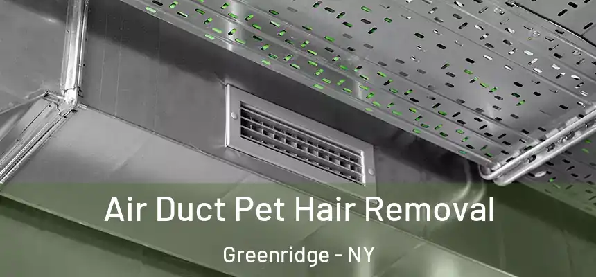 Air Duct Pet Hair Removal Greenridge - NY