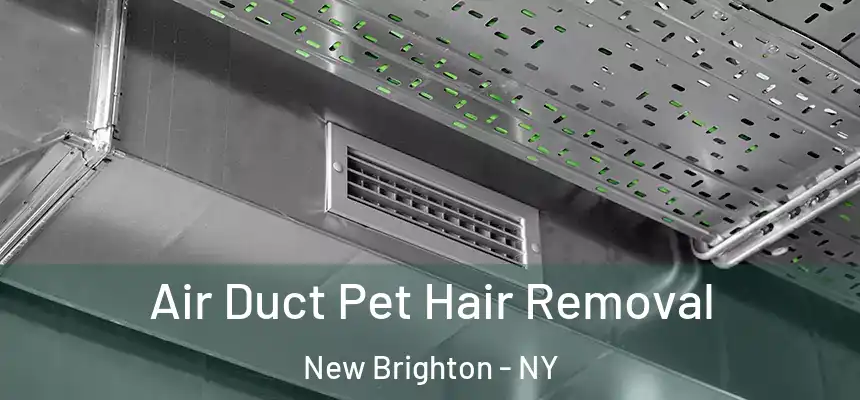  Air Duct Pet Hair Removal New Brighton - NY