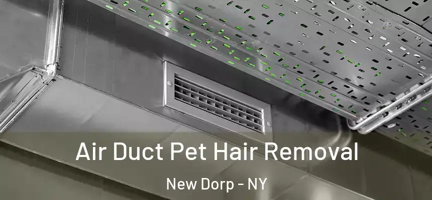 Air Duct Pet Hair Removal New Dorp - NY