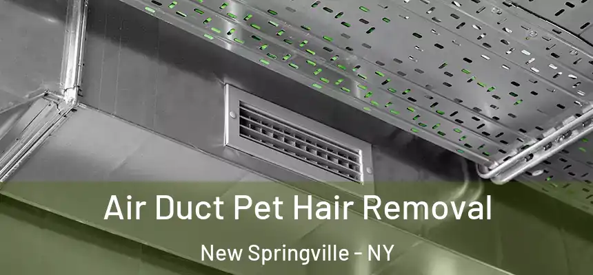 Air Duct Pet Hair Removal New Springville - NY
