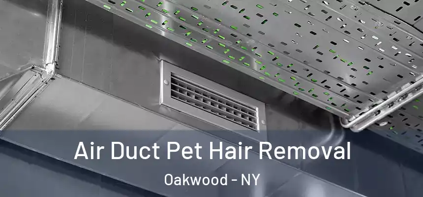 Air Duct Pet Hair Removal Oakwood - NY