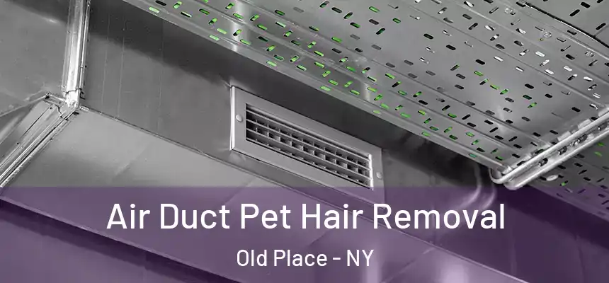 Air Duct Pet Hair Removal Old Place - NY
