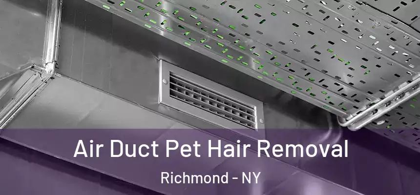 Air Duct Pet Hair Removal Richmond - NY