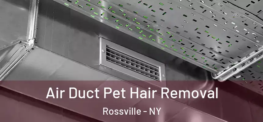  Air Duct Pet Hair Removal Rossville - NY