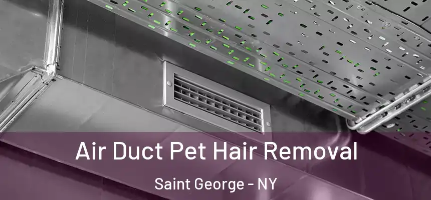 Air Duct Pet Hair Removal Saint George - NY