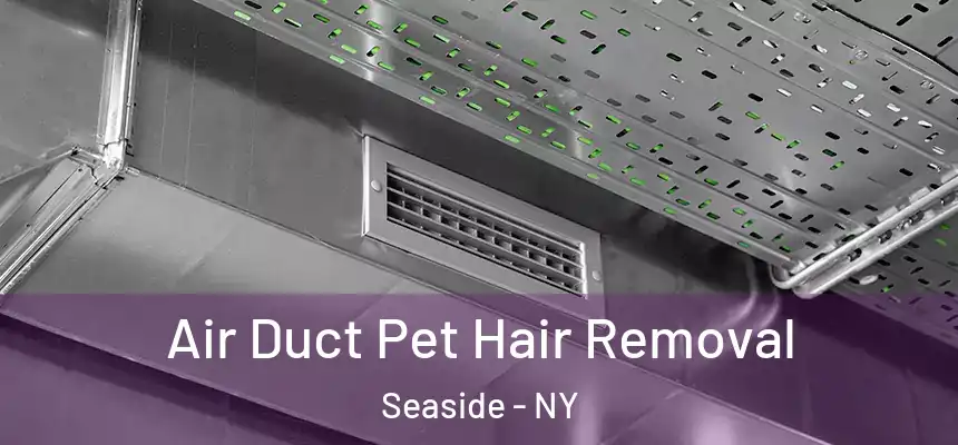 Air Duct Pet Hair Removal Seaside - NY