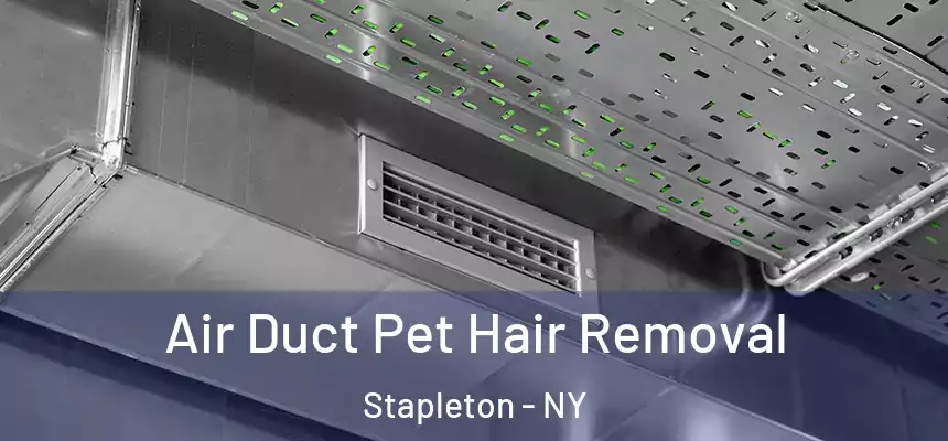 Air Duct Pet Hair Removal Stapleton - NY