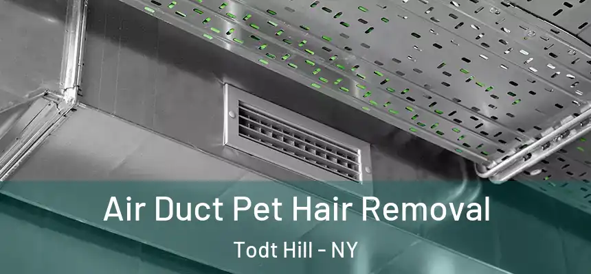 Air Duct Pet Hair Removal Todt Hill - NY