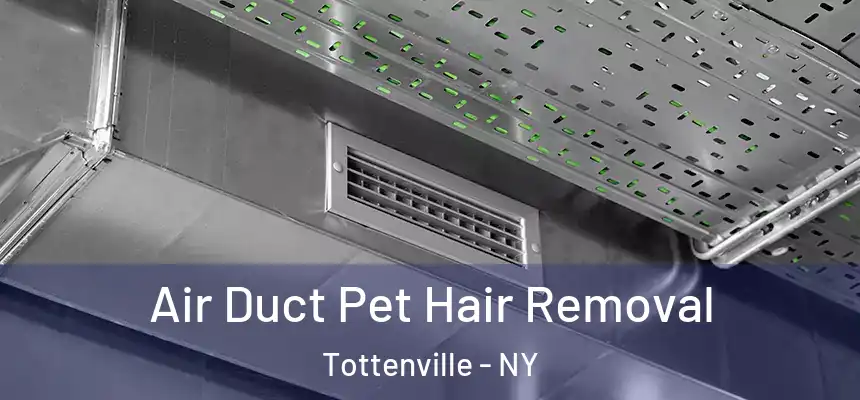 Air Duct Pet Hair Removal Tottenville - NY