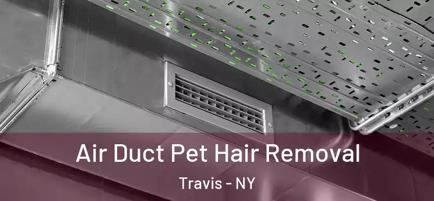 Air Duct Pet Hair Removal Travis - NY