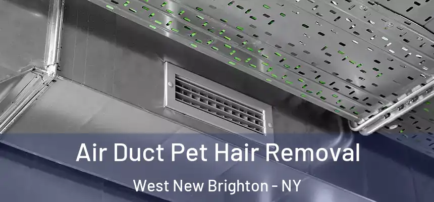 Air Duct Pet Hair Removal West New Brighton - NY