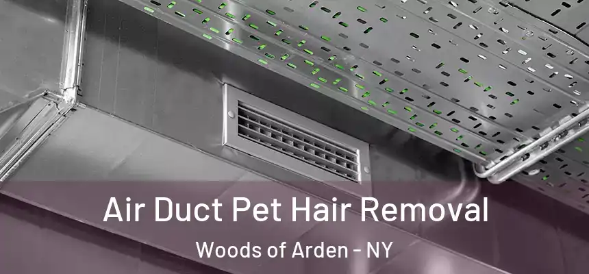 Air Duct Pet Hair Removal Woods of Arden - NY
