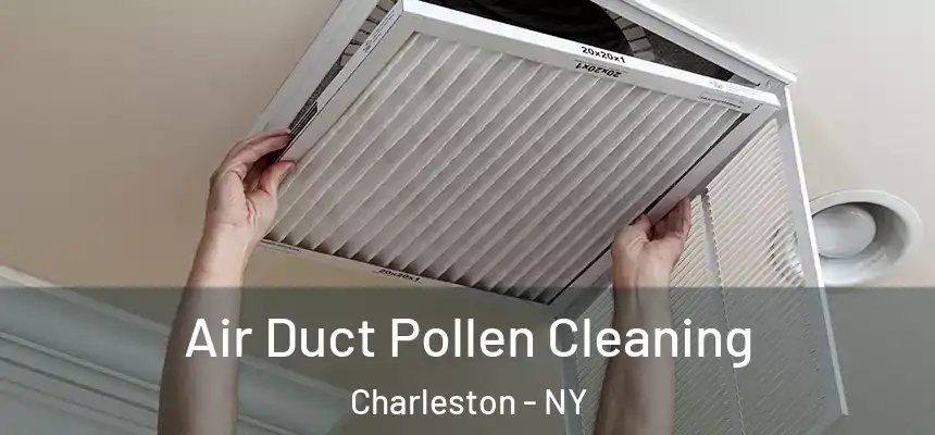 Air Duct Pollen Cleaning Charleston - NY