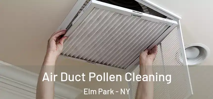 Air Duct Pollen Cleaning Elm Park - NY