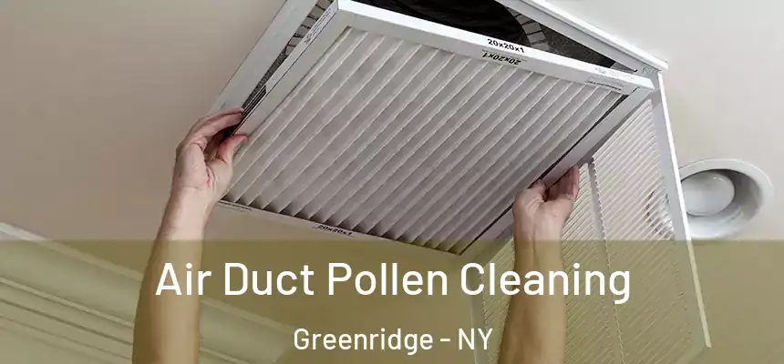 Air Duct Pollen Cleaning Greenridge - NY