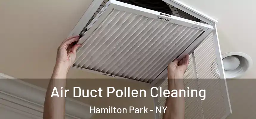 Air Duct Pollen Cleaning Hamilton Park - NY