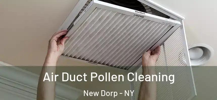 Air Duct Pollen Cleaning New Dorp - NY