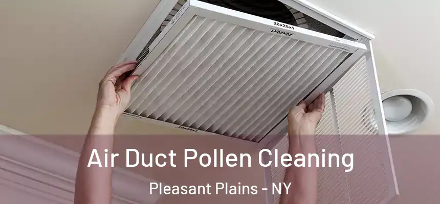  Air Duct Pollen Cleaning Pleasant Plains - NY