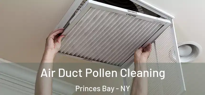 Air Duct Pollen Cleaning Princes Bay - NY