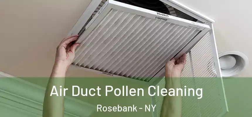 Air Duct Pollen Cleaning Rosebank - NY