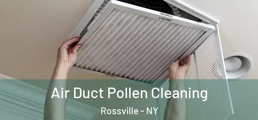  Air Duct Pollen Cleaning Rossville - NY