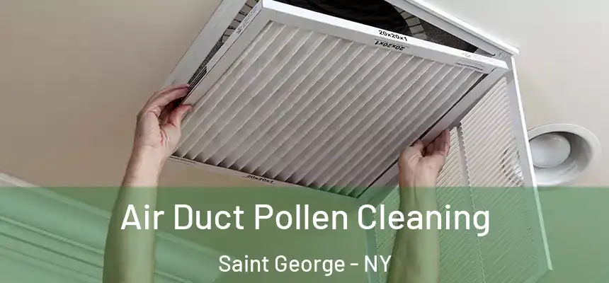 Air Duct Pollen Cleaning Saint George - NY